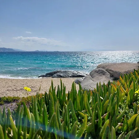 Apartment Sea U Soon Seafront Ii Naxos City